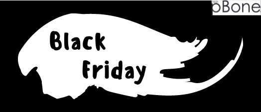 Bag a bargain on Black Friday